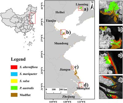 Dynamics of Carbon Storage in Saltmarshes Across China’s Eastern Coastal Wetlands From 1987 to 2020